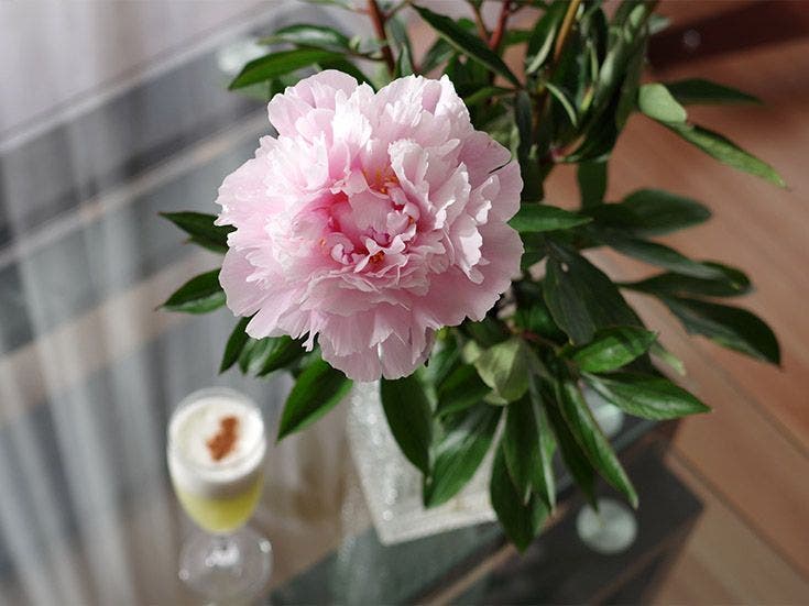 conserver-fleurs-coupees-list