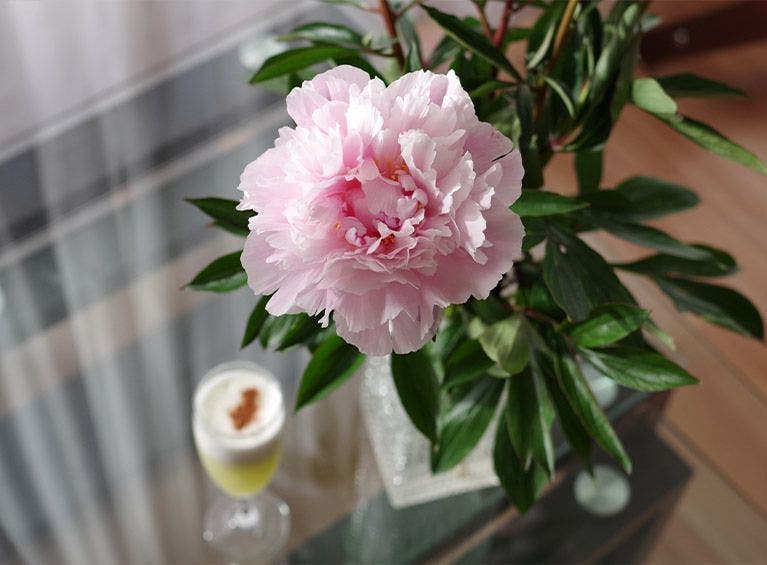 conserver-fleurs-coupees-list