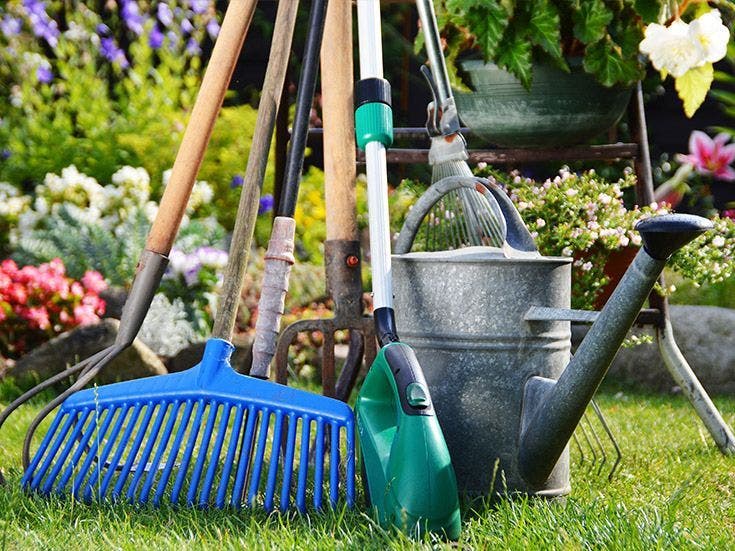 nettoyer-outils-jardin-et-pinceaux-list