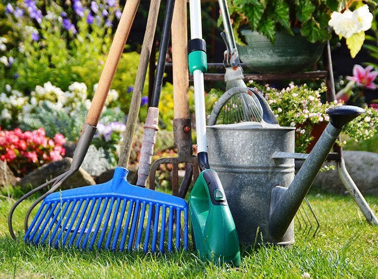 nettoyer-outils-jardin-et-pinceaux-list