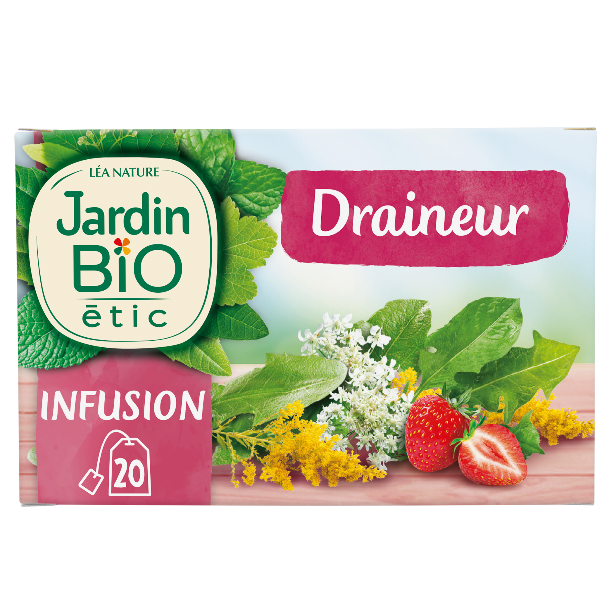 Infusion Draineur - bio - JARDIN BIO