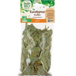 Eucalyptus - bio - JARDIN BIO