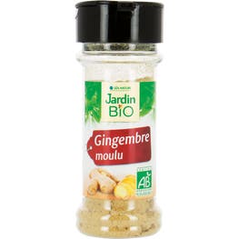 Gingembre moulu - bio - JARDIN BIO