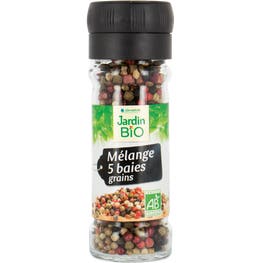 Mélange 5 baies - bio - JARDIN BIO