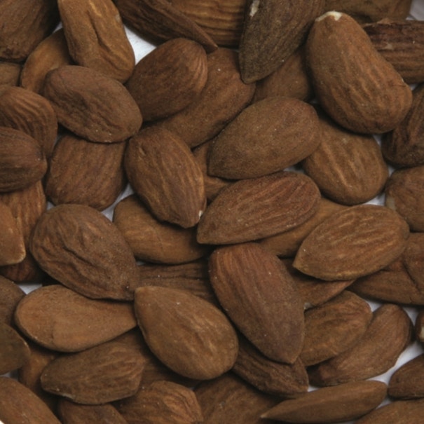 Amandes entières grillées salées bio - JARDIN BIO