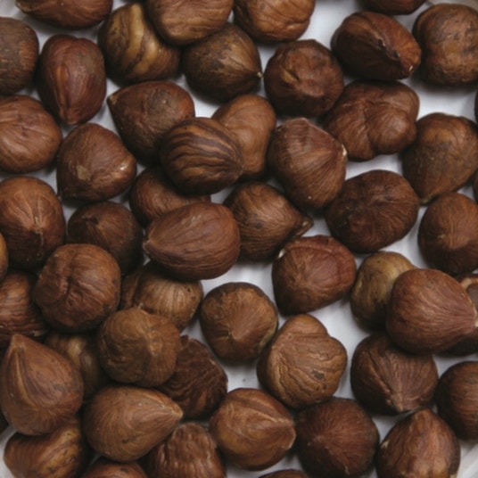 boho cosmetics Noisettes entières bio 5 kg - Jardin Bio Étic