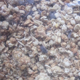 Muesli au chocolat - bio - JARDIN BIO