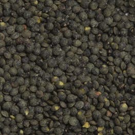 Lentilles vertes bio 5 kg - JARDIN BIO