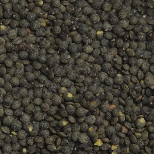 eau thermale jonzac Lentilles vertes bio 5 kg