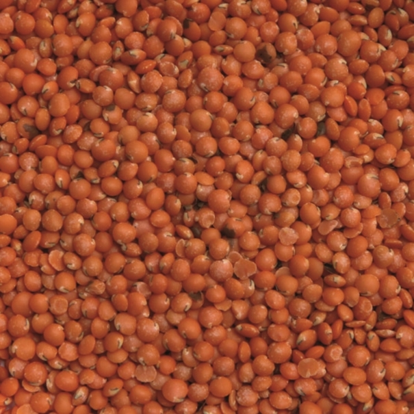 Les produits shopeco.fr