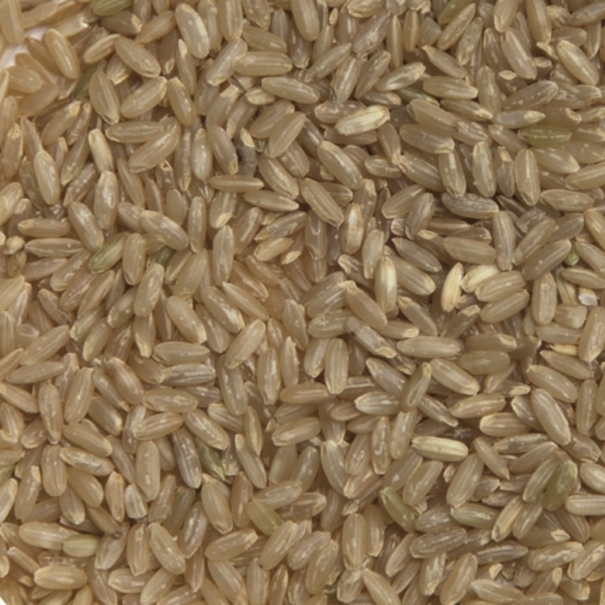 Riz long complet - bio - JARDIN BIO