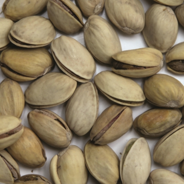 Pistaches grillées salées bio - JARDIN BIO