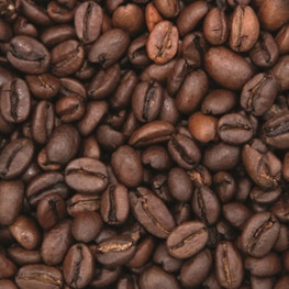 Café du Pérou Arabica en grains - bio - JARDIN BIO