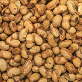 Graines de soja grillées salées bio - bio - JARDIN BIO