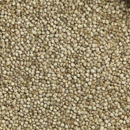 Quinoa - bio - JARDIN BIO