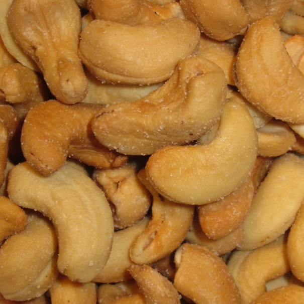 Noix de cajou grillées salées - bio - JARDIN BIO