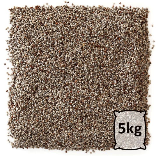 eau thermale jonzac Graines de chia - bio