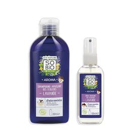 Routine apaisante des petits écoliers  - SO BIO ETIC