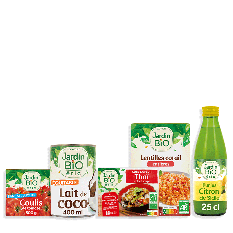 Dahl de lentilles corail et pois chiches – Recette « Réconfort » - JARDIN BIO