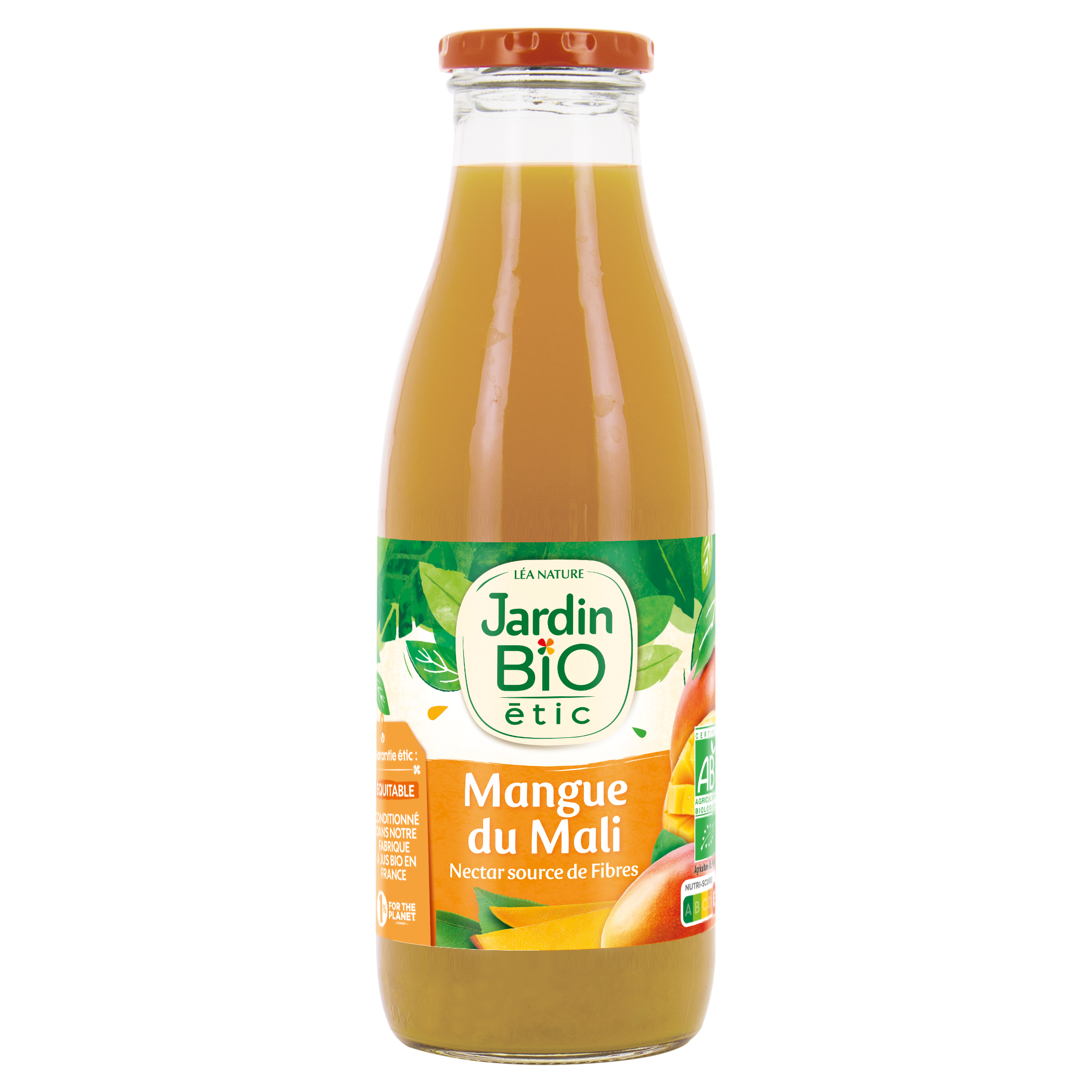 Nectar Mangue du Mali - bio - JARDIN BIO