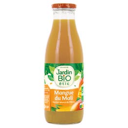 Nectar Mangue du Mali - bio - JARDIN BIO