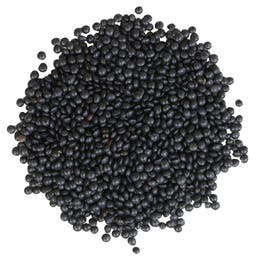 Lentilles Beluga - bio - JARDIN BIO
