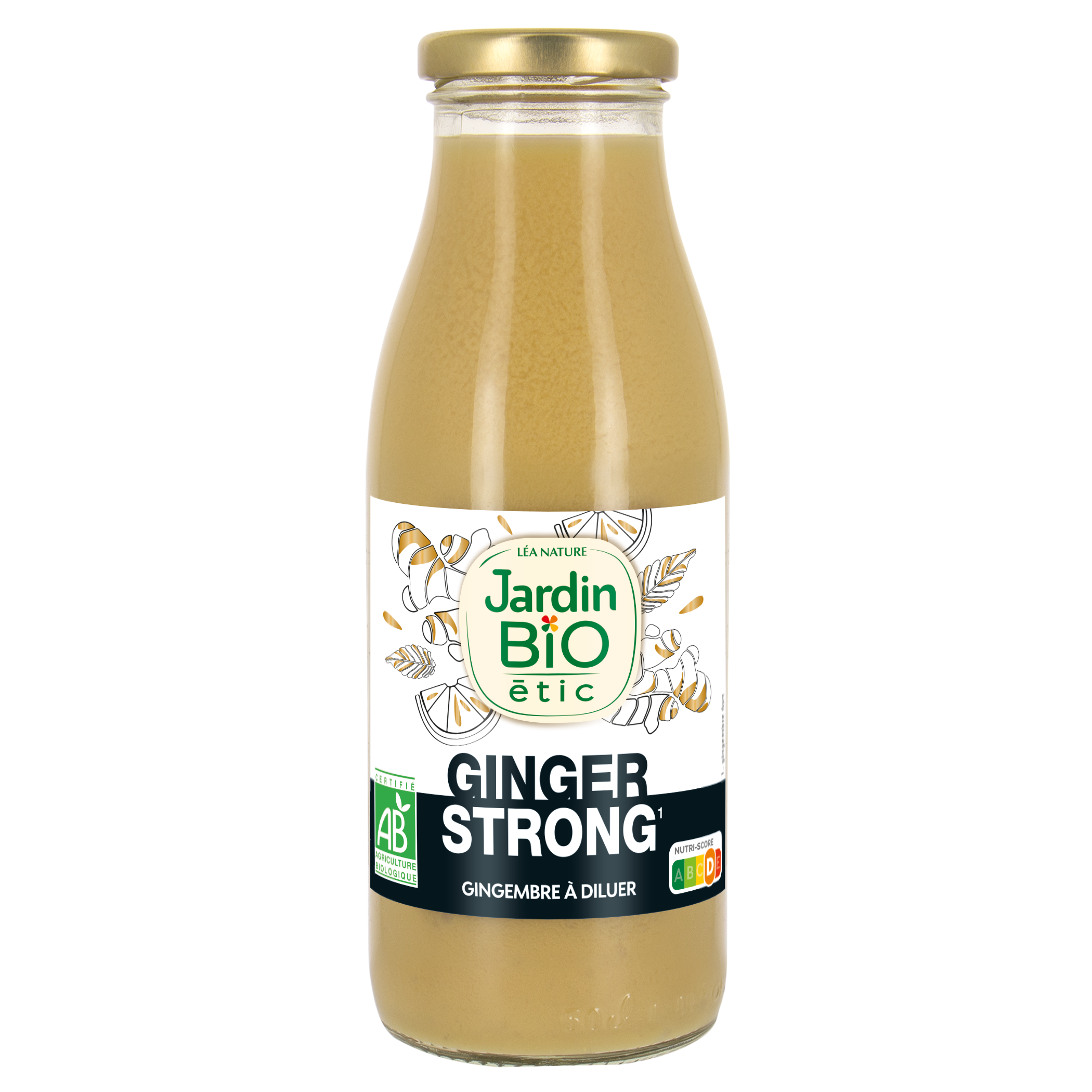 Ginger Strong - bio - JARDIN BIO