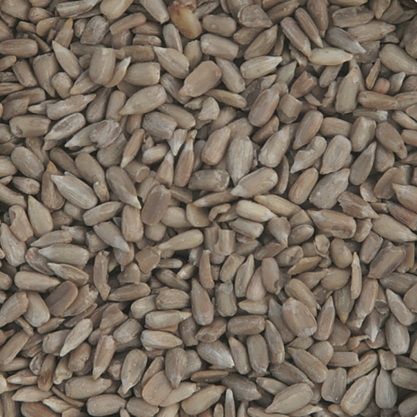 Les produits shopeco.fr