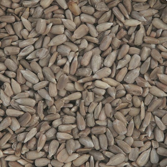 eau thermale jonzac Graines de tournesol - bio