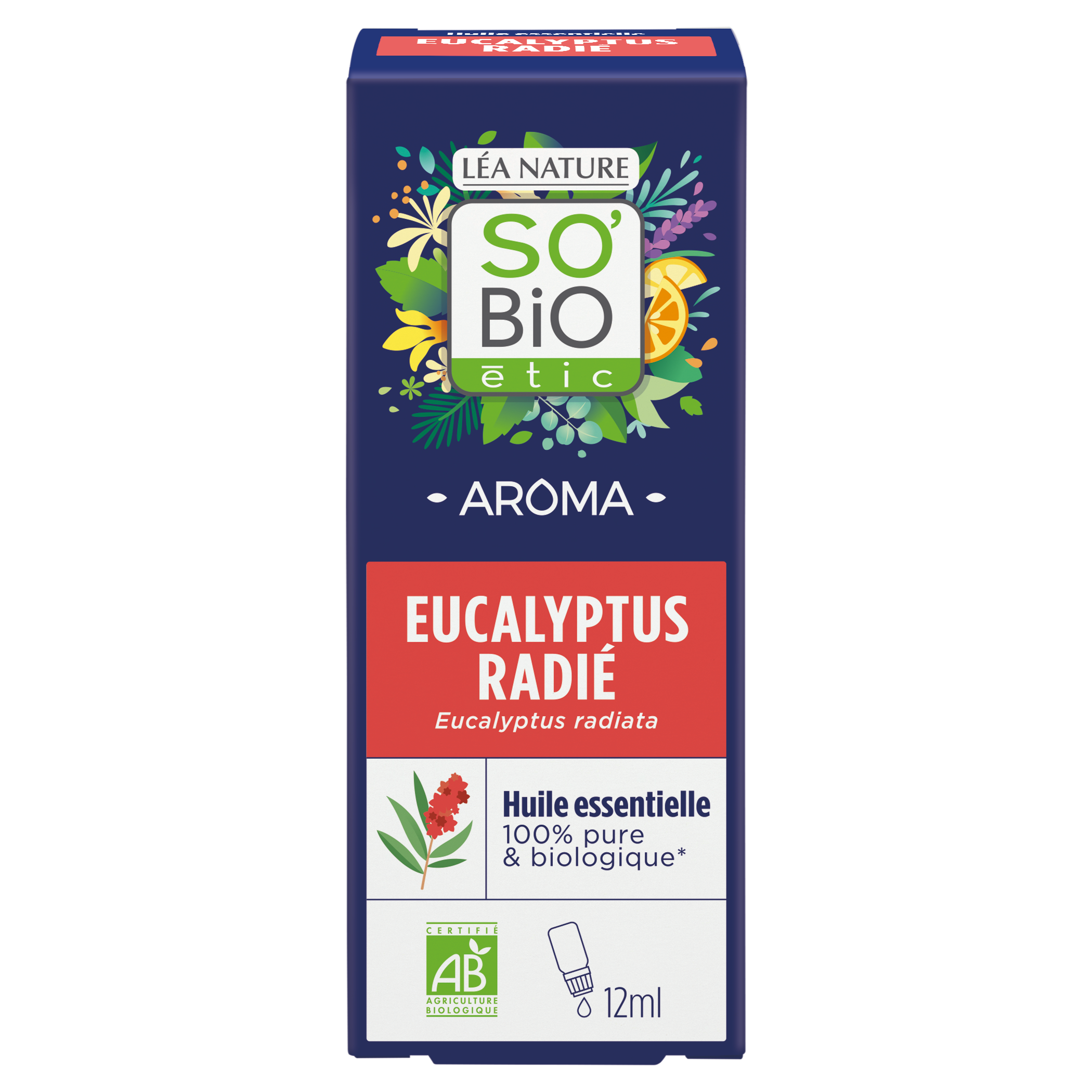 Huiles essentielles eucalyptus radie bio - SO BIO ETIC
