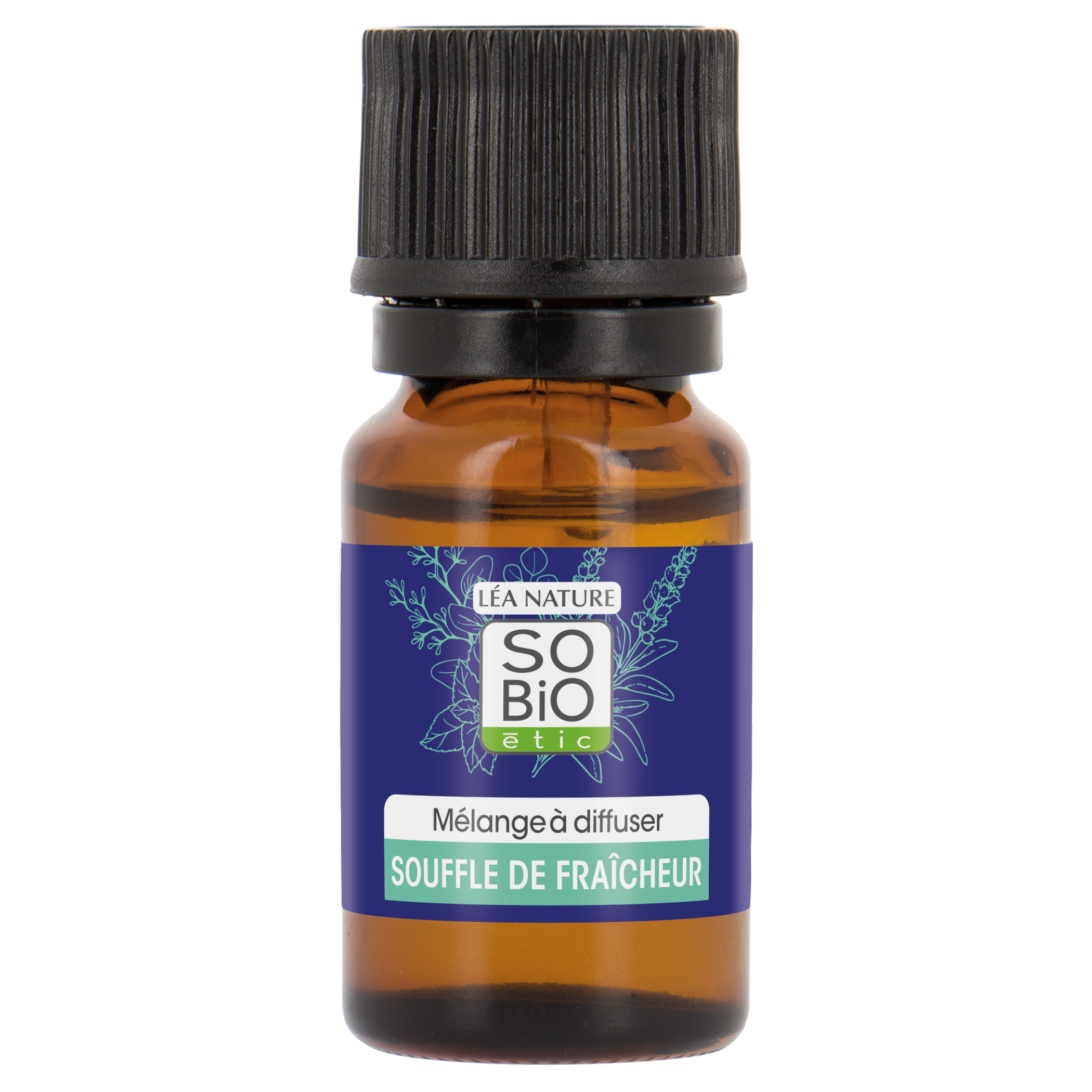 Souffle de fraîcheur aux huiles essentielles eucalyptus  - SO BIO ETIC