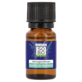 Souffle de fraîcheur aux huiles essentielles eucalyptus - SO BIO ETIC