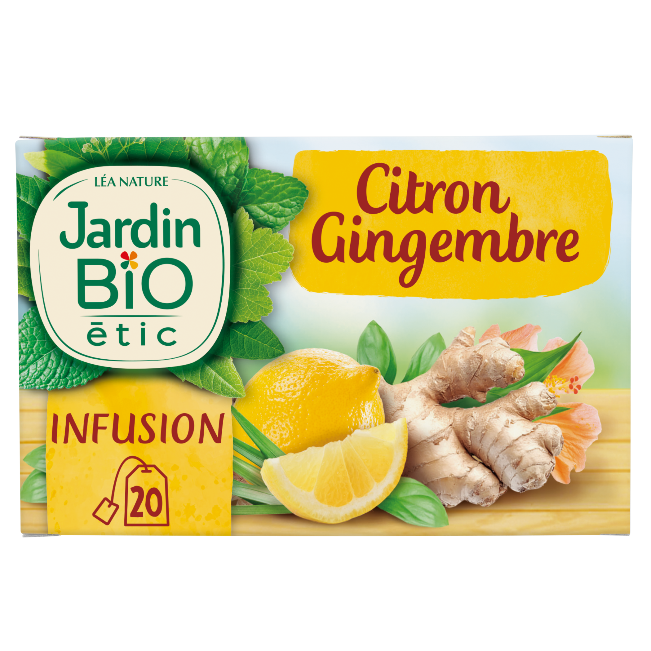 Infusion citron gingembre - JARDIN BIO