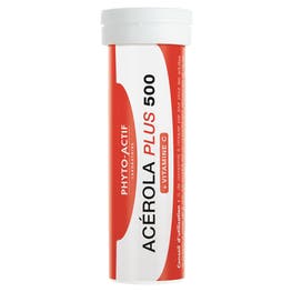 Acérola Plus 500 - PHYTO ACTIF