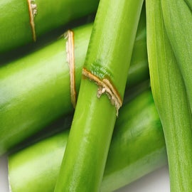 Gommage lissant désincrustant - SO BIO ETIC