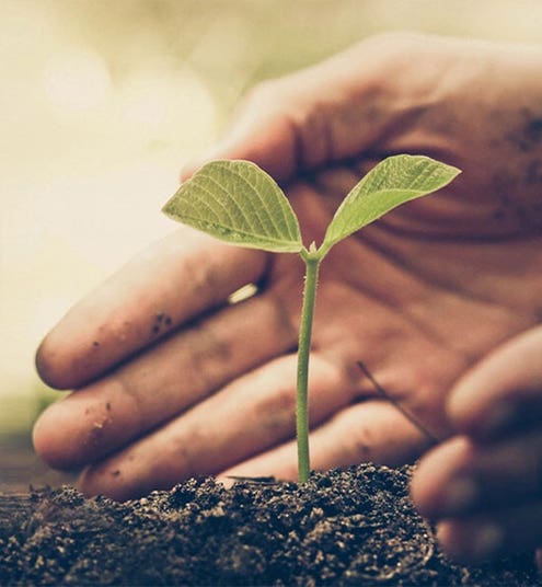 Pur jus multifruits - bio - JARDIN BIO