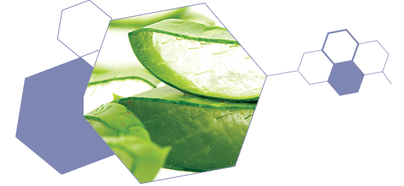 Gel Thermal d’Aloe Vera - EAU THERMALE JONZAC