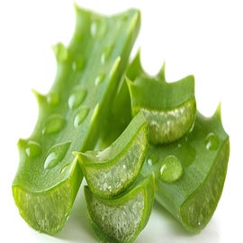 Ecopack gel lavant très doux - SO BIO ETIC