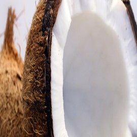 Crème fondante nourrissante Nutri Coco - SO BIO ETIC