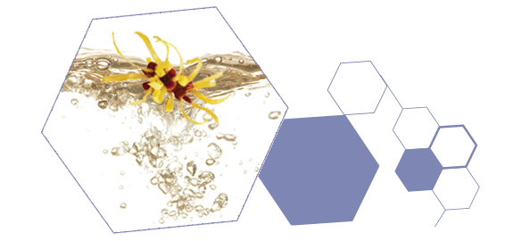 Soin hydratant matifiant - PURE bio  - EAU THERMALE JONZAC