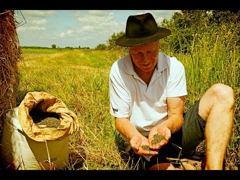 eau thermale jonzac Lentilles vertes - bio