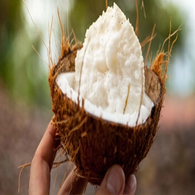 Sucre de fleur de Coco - bio - JARDIN BIO