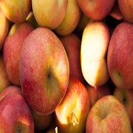 Compote pomme vanille bourbon - bio - JARDIN BIO