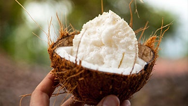 La noix de coco du Sri Lanka