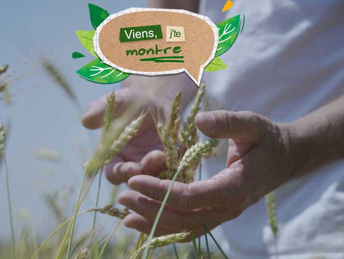 Découvrez Emmmanuel Marchand, agriculteur bio qui cultive le blé de nos gâteaux Jardin BiO étic.