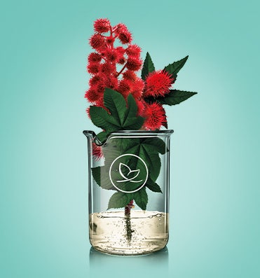 La science de la Nature Natessance