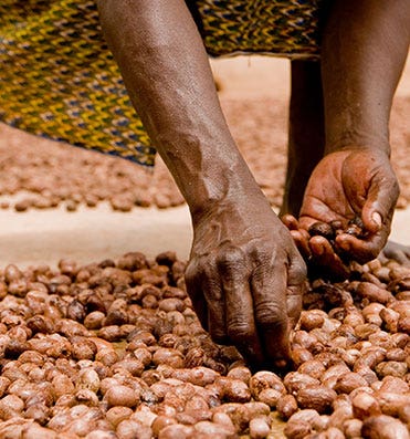 Le beurre de Karité bio SO BiO étic