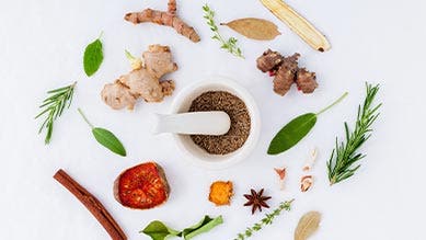 Gamme Fruits secs, plantes et super aliments