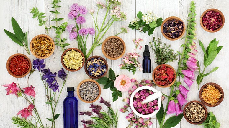 actifs-biosens Des actifs et des plantes pour Biosens