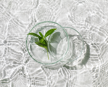 Lac de montagne, eau pure